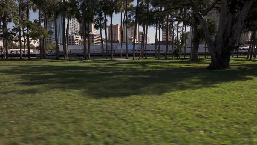 Person in the background rollerblading through a treelined square
