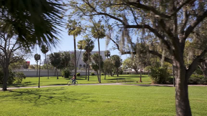 A cyclist rides along a paved path in a park surrounded by palm trees grassy areas and a large building in the distance