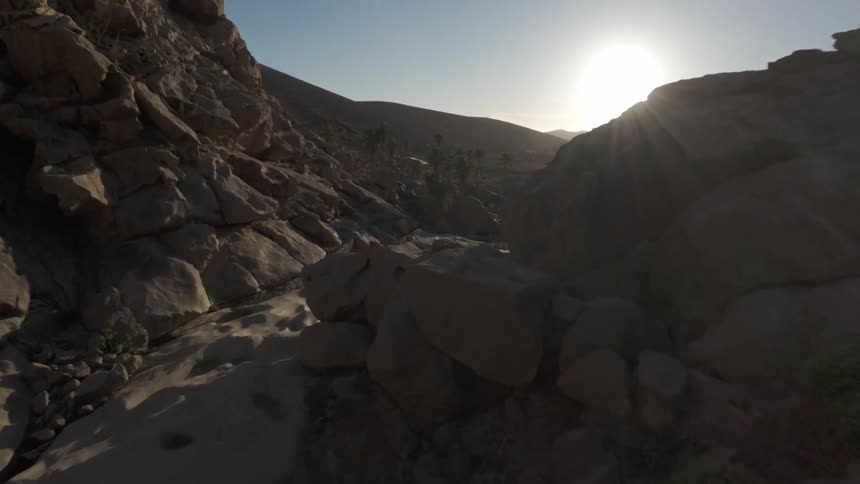 The mountain has a few palm trees on it