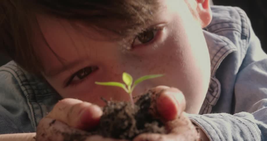 A young boy stares at a seedling plant while holding it in his hands
