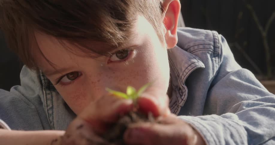 A little boy holds a new plant that is ready to put in the ground