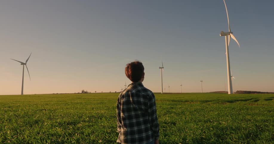 A person stands facing a field of wind turbines under a clear blue sky at sunset