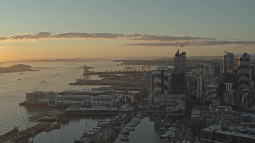 Boats line a marina near downtown during sunrise
