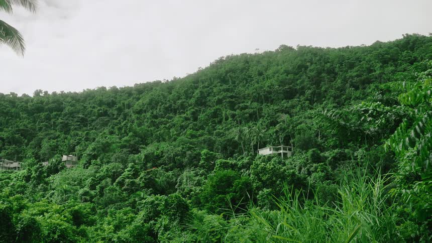 Homes are perched on the mountain side