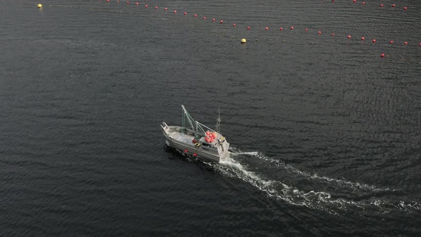 Aerial view of a boat traveling through an ocean filled with orange buoys