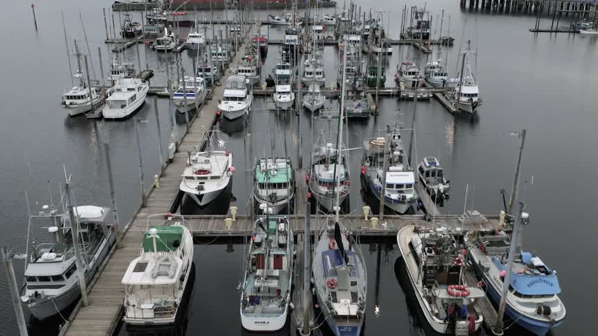 Aerial of boats docked in a harbor on a large lake