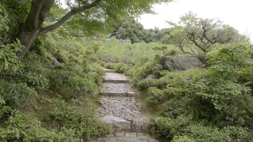 Shrubs and greenery line a stone path that lays ahead