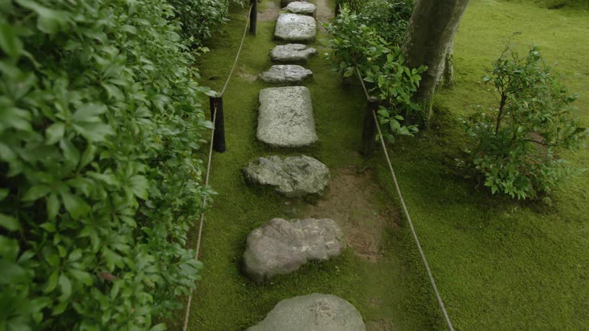 Path of large rock stepping stones surrounded by green trees and plants