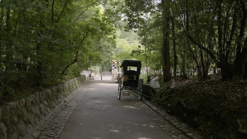 A cart is parked on the side of this small path lined with trees