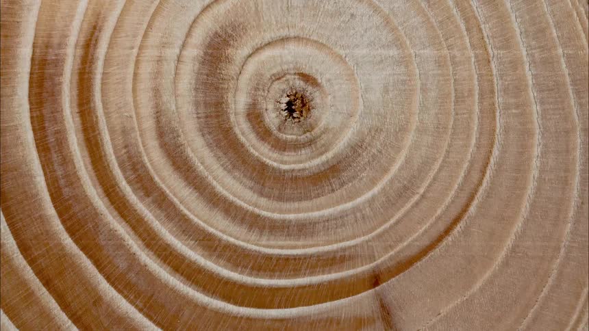 Particles seem to flow to the center of a surface containing multiple concentric rings