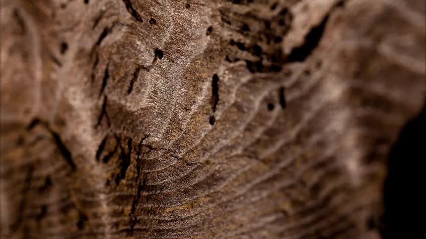 An abstract footage of a liquid texture
