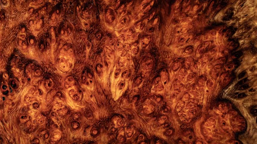 Amber liquid flows past objects