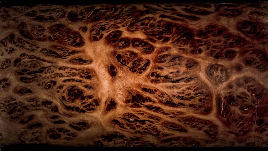 Intricate wood pattern with organic textures and intense shades of brown and black