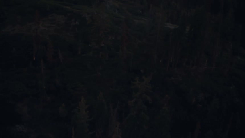 The sun is rising on the forest and mountains