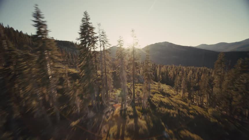 The bright sun shines on the landscape