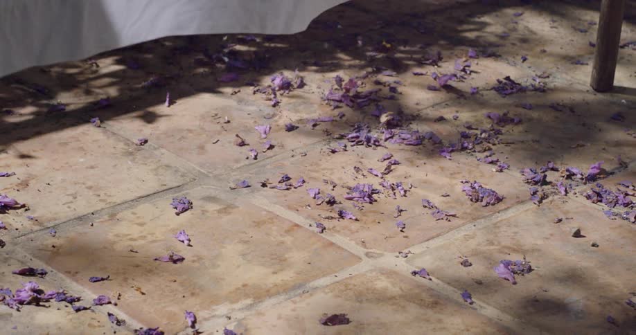 Wind scattering dried flower leaves on the sidewalk outdoors
