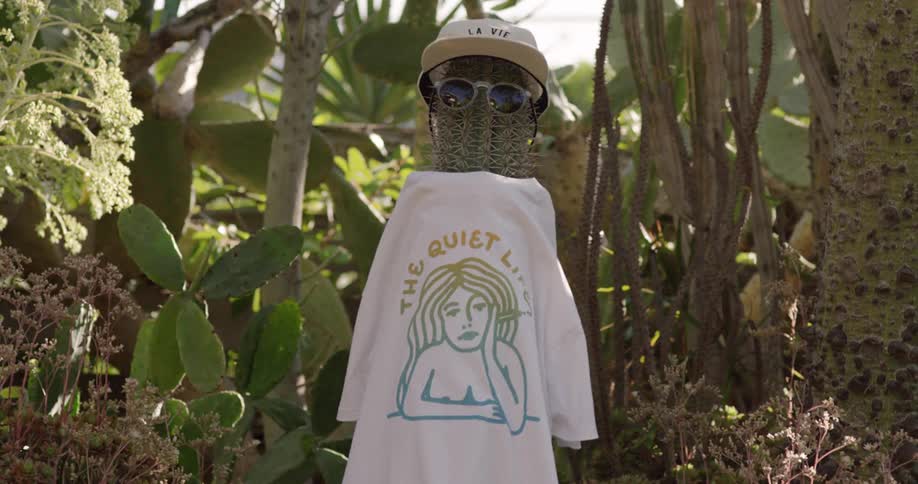 A cactus is dressed up with a shirt hat and sunglasses