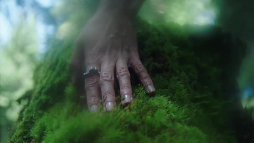 A woman is touching the moss on the tree stump