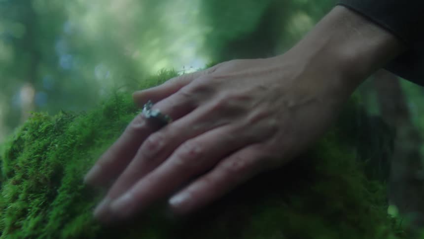 A hand adorned with a ring gently touches a mosscovered surface amidst a forest backdrop