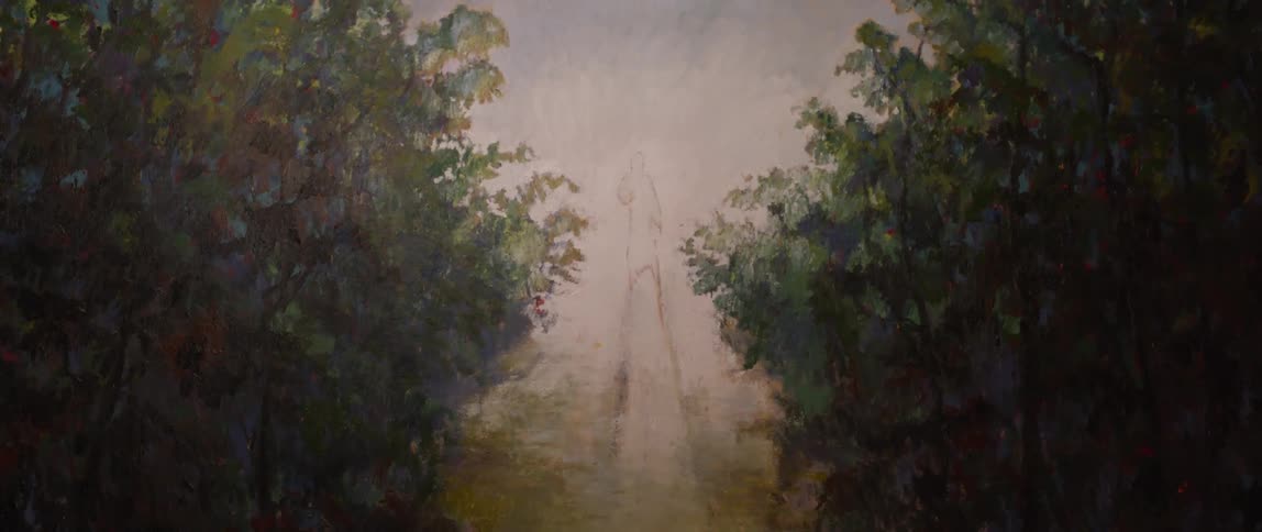Heavy fog is in the forest