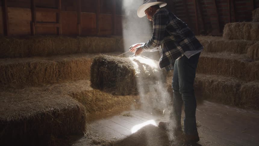 Man working in a stable