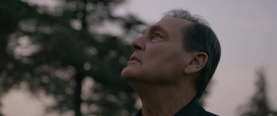 Man outdoors looking up