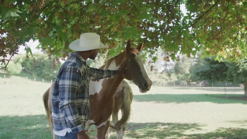 Man in white hat interacting with a brown horse under a tree
