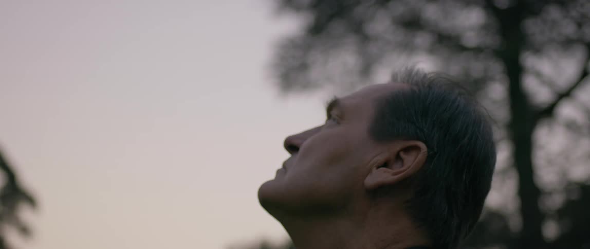 A man is looking up at the sky