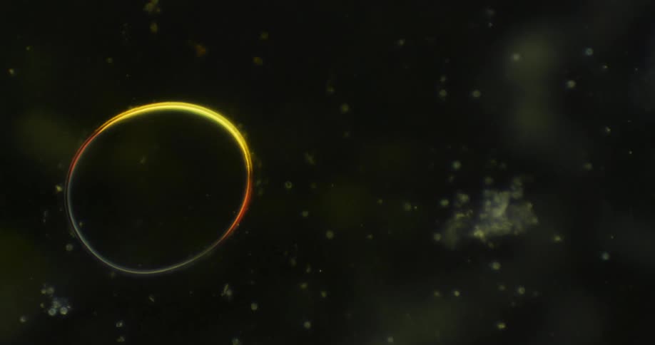 An abstract image of a yellow circle