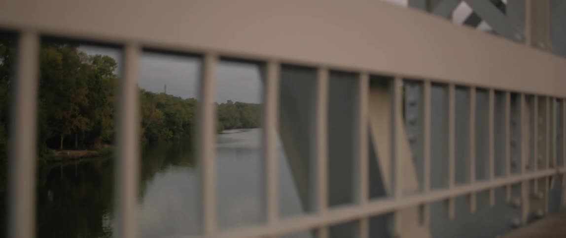A bridge is over the river and forest