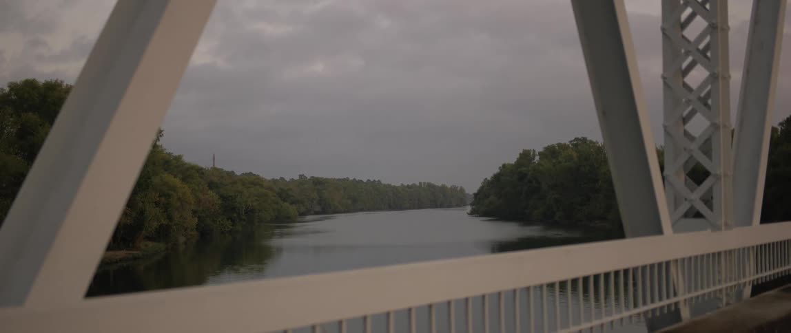 A river surrounded by trees is under the bridge