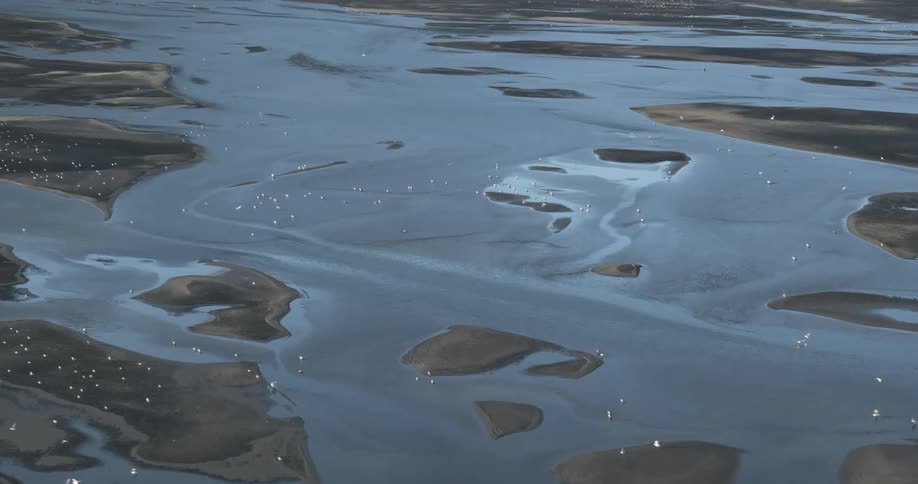 Aerial view of sand and sea areas with seagulls flying