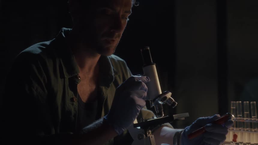 The scientist is checking a sample under the microscope