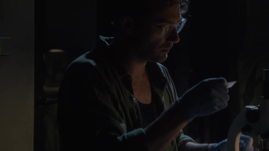 A scientist examines a slide after taking it from a microscope