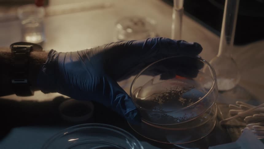 A man lifts the petri dish