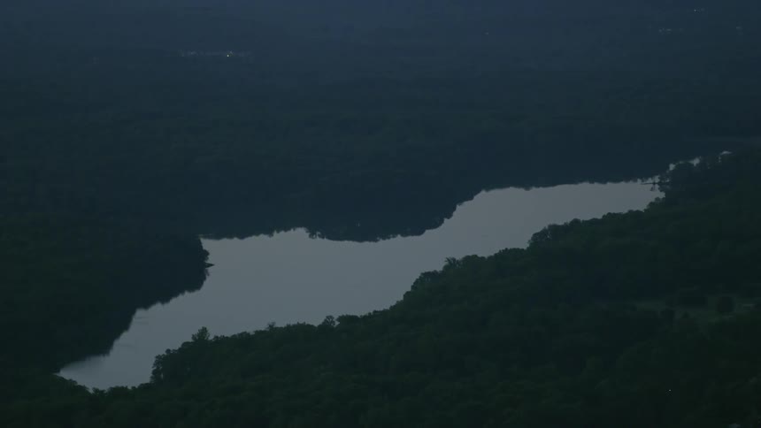 A lake in a forest