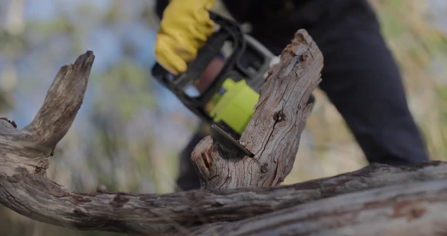 A man is using a chainsaw to cut the tree up