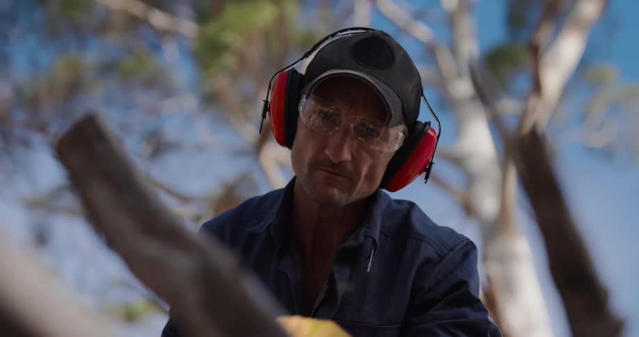 Man with protective glasses and headphones using a chainsaw on a piece of wood