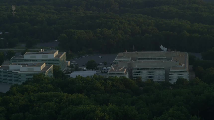 Buildings are surrounded by trees at dawn