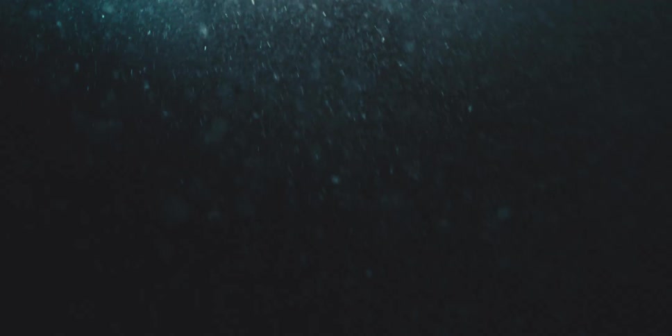 The murky water is rough and dark