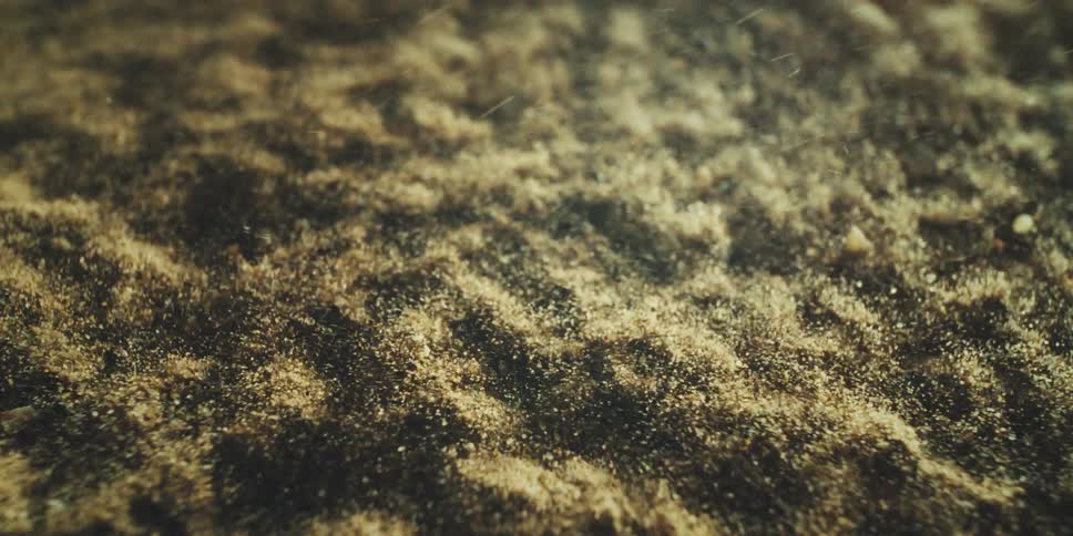 An extreme closeup reveals a goldenbrown abstract surface resembling fine particles or powder subtly shifting in an organic magnified motion
