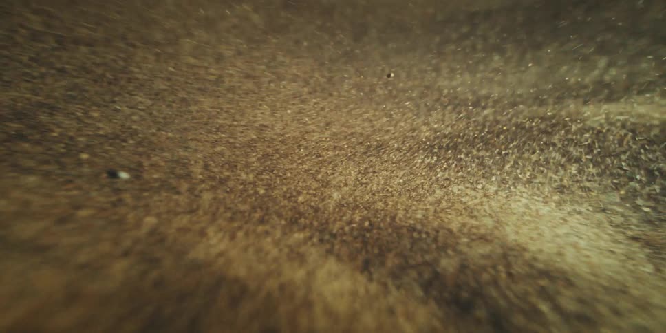 Millions of Fine Particles Rapidly Dispersing in Abstract Motion