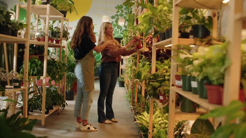 An employee helps a customer find a plant