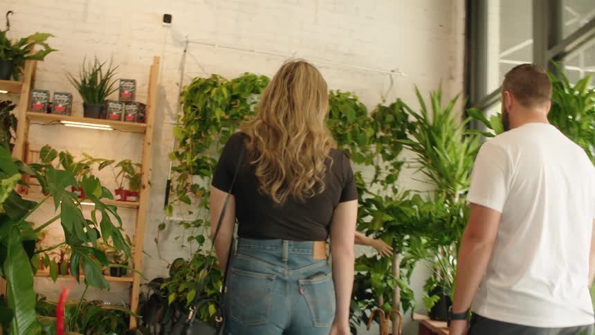 The employee leads to customers to a shelf full of plants in the store