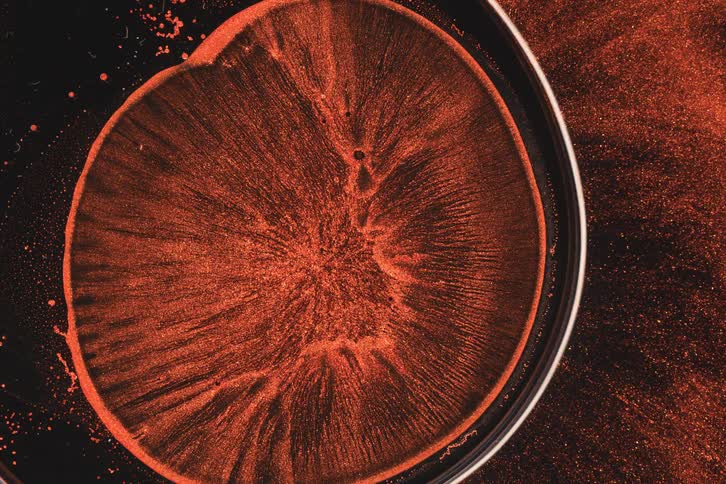 Abstract art of particles in motion