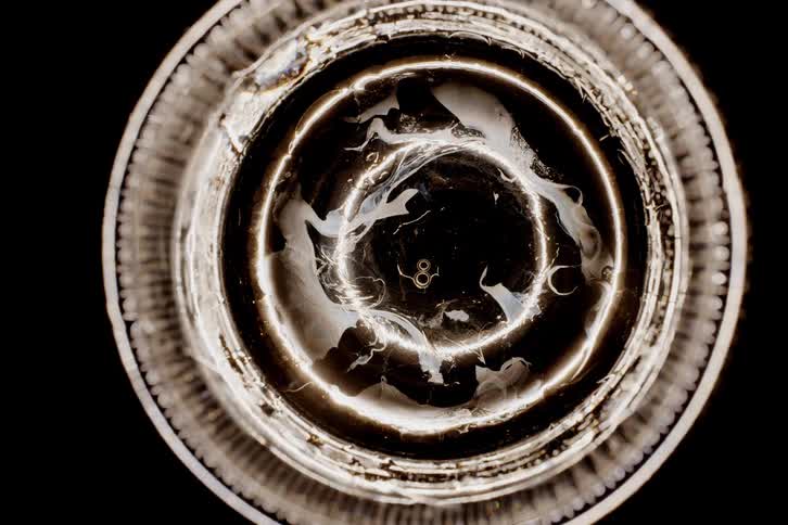 A white circular liquid textured object with a black bubble in the center