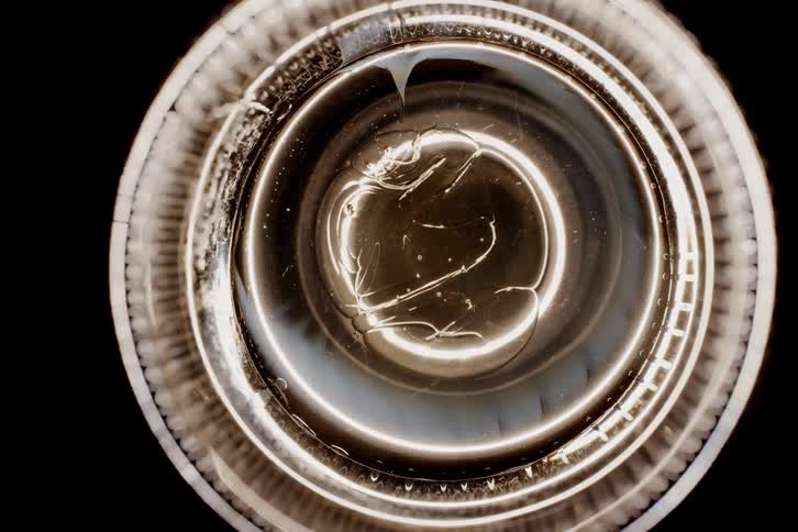 A circular object with several white layers and brown details that is rotating on a black background