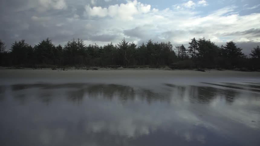 Long stretch of beach in front of a clump of trees