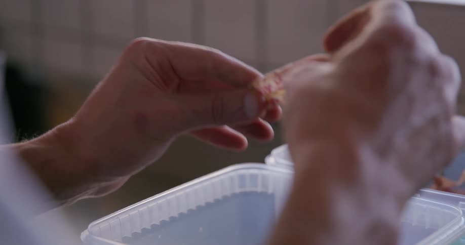 Woman shells beans while in the kitchen during the daytime
