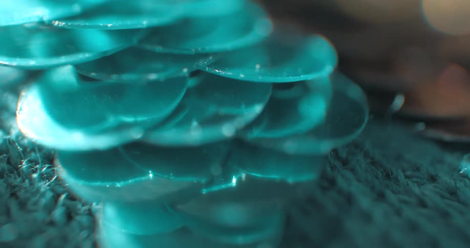 Small discs are embroidered on the fabric